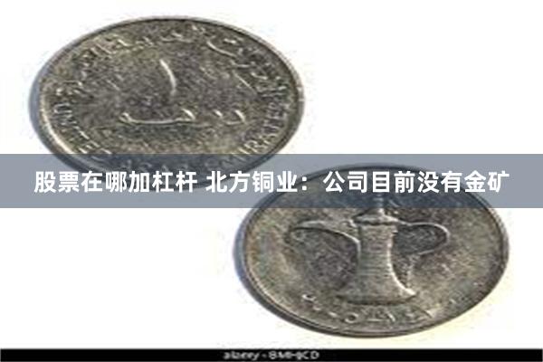 股票在哪加杠杆 北方铜业：公司目前没有金矿