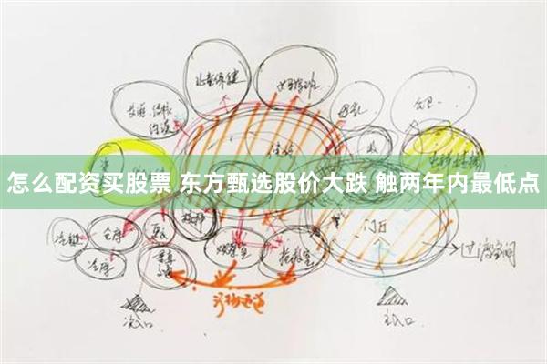 怎么配资买股票 东方甄选股价大跌 触两年内最低点