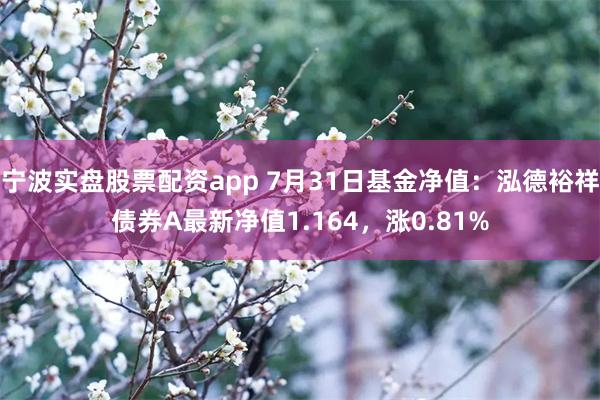 宁波实盘股票配资app 7月31日基金净值：泓德裕祥债券A最新净值1.164，涨0.81%