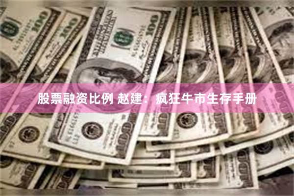 股票融资比例 赵建：疯狂牛市生存手册