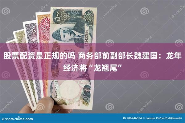 股票配资是正规的吗 商务部前副部长魏建国：龙年经济将“龙翘尾”