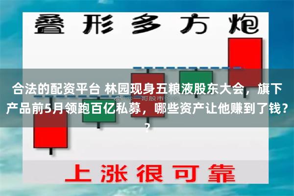 合法的配资平台 林园现身五粮液股东大会，旗下产品前5月领跑百亿私募，哪些资产让他赚到了钱？