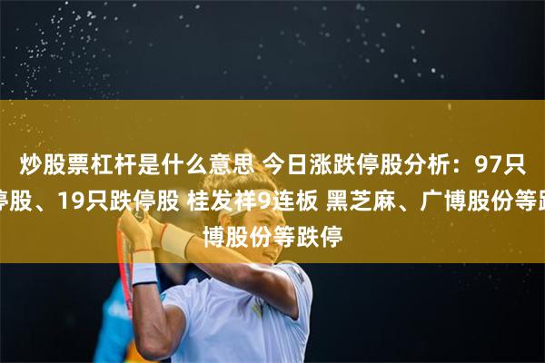 炒股票杠杆是什么意思 今日涨跌停股分析：97只涨停股、19只跌停股 桂发祥9连板 黑芝麻、广博股份等跌停