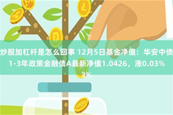 炒股加杠杆是怎么回事 12月5日基金净值：华安中债1-3年政策金融债A最新净值1.0426，涨0.03%