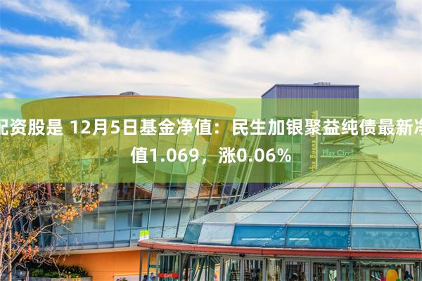 配资股是 12月5日基金净值：民生加银聚益纯债最新净值1.069，涨0.06%