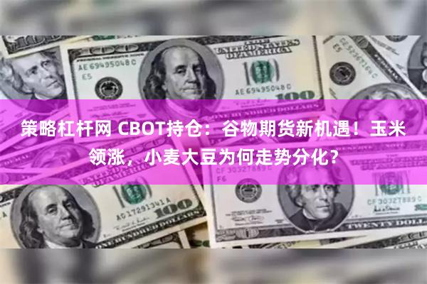 策略杠杆网 CBOT持仓：谷物期货新机遇！玉米领涨，小麦大豆为何走势分化？