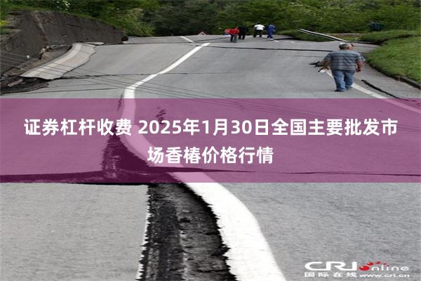 证券杠杆收费 2025年1月30日全国主要批发市场香椿价格行情